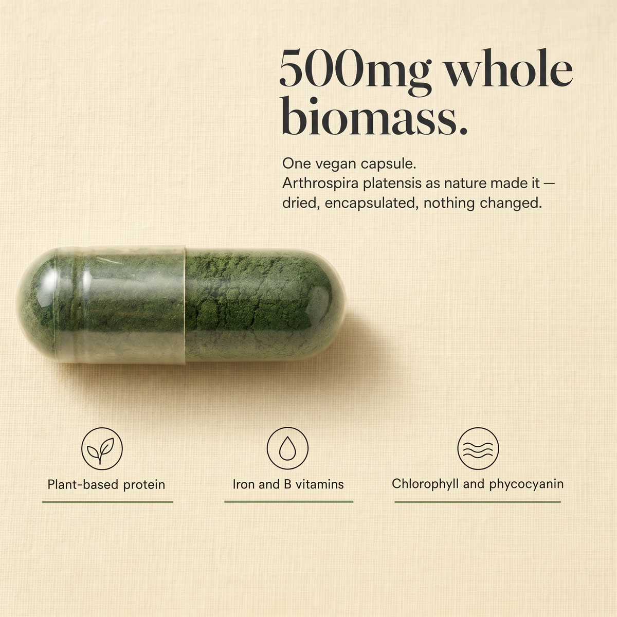 POPURAL Spirulina Capsules 500mg, Vegan Superfood, 60 Count 60 Day Supply