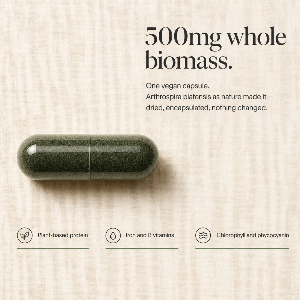 POPURAL Spirulina Capsules 500mg, Vegan Superfood, 60 Count 60 Day Supply